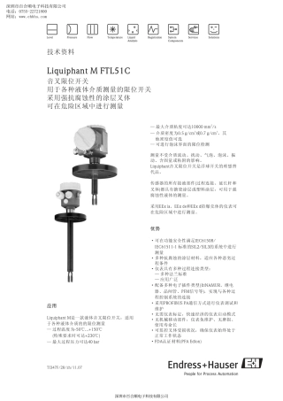 E+H音叉物位计FTL51C