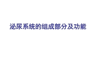 泌尿系统的组成部分及功能全解