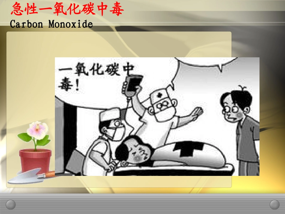 丁晓毛一氧化碳中毒11年2月_第2页
