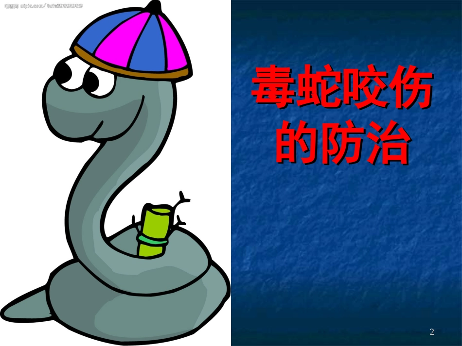 毒蛇咬伤防治知识_第2页