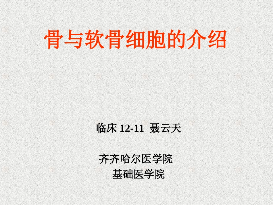 软骨和骨的介绍_第1页