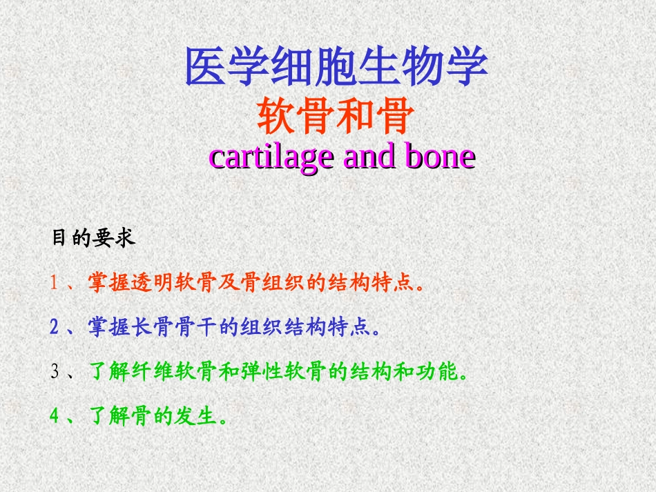 软骨和骨的介绍_第2页