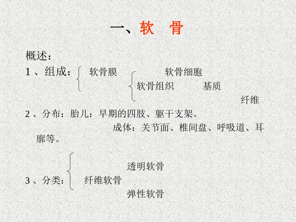 软骨和骨的介绍_第3页