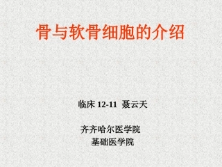 软骨和骨的介绍