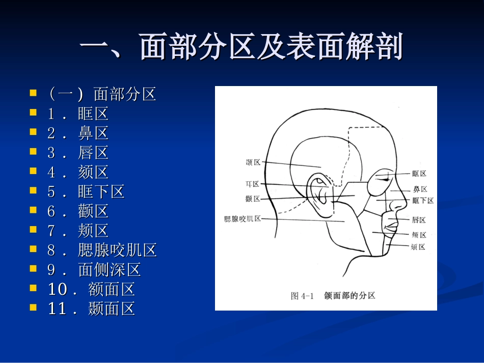 面_部_局_解_第3页