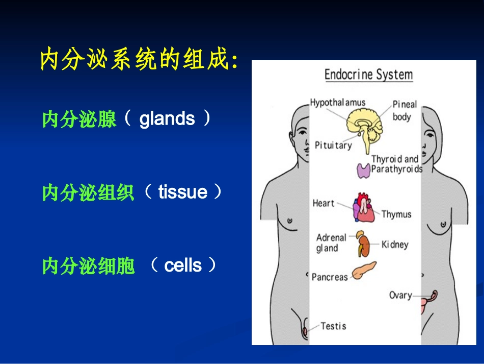 甲状腺-糖尿病-cjz_第2页