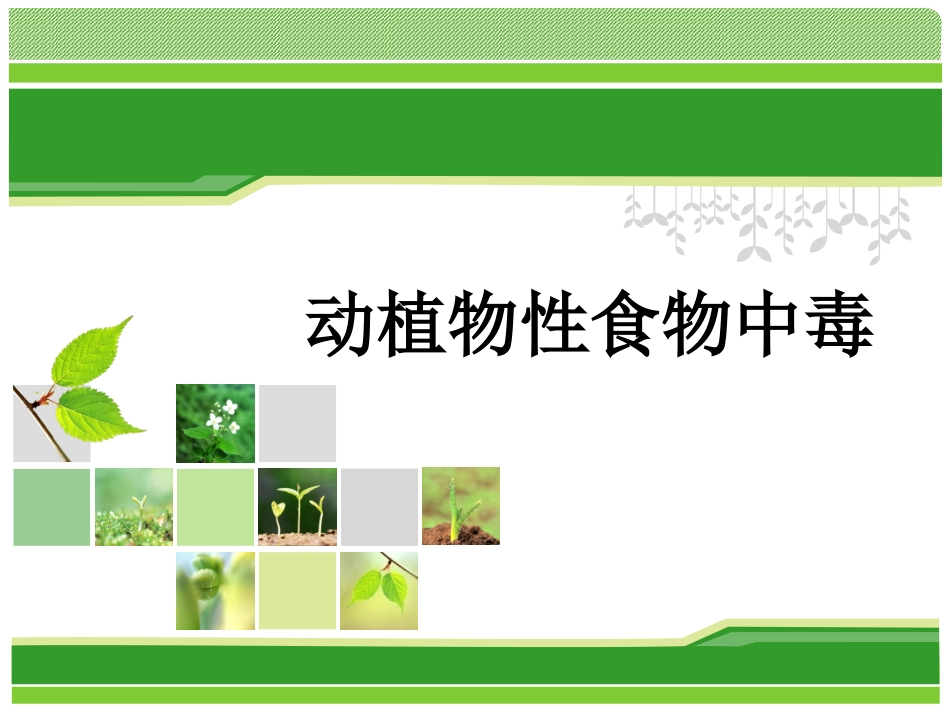 动植物性食物中毒_第1页