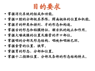 内脏总论、消化管(一)