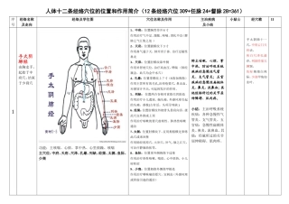 人体十二条经络奇经八脉