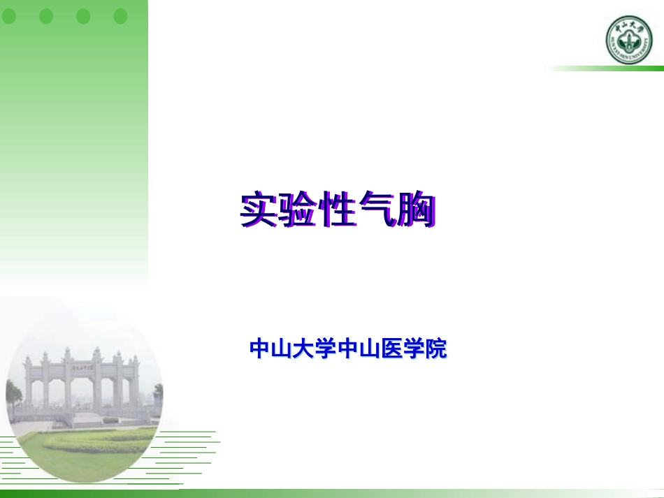 实验性气胸探索性试验_第1页