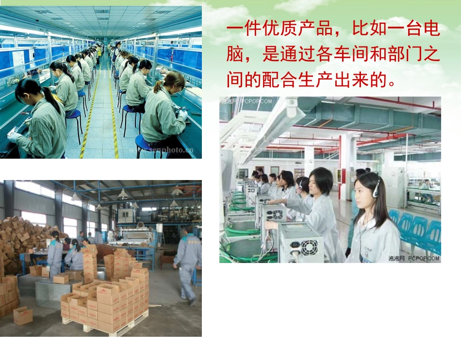 细胞器-系统内的分工合作王舒_第3页