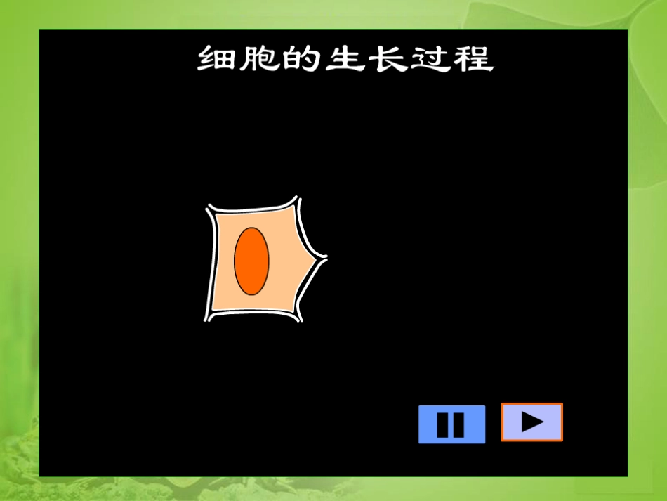 细胞通过分裂产生新细胞2(1)_第3页