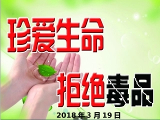 珍爱生命、拒绝毒品完整版PPT