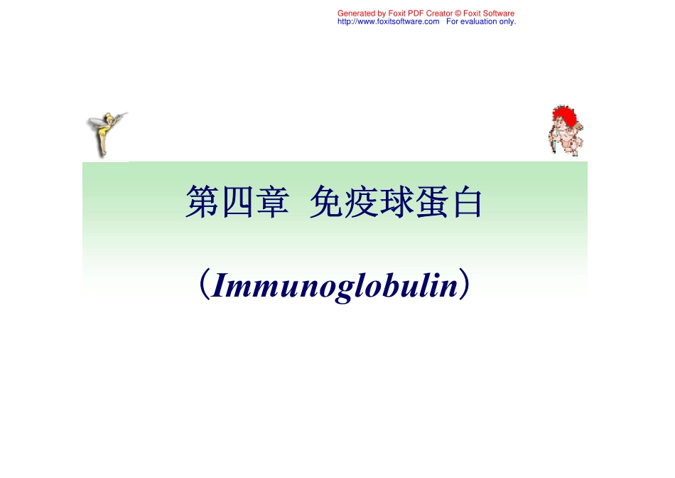 食品免疫学  4免疫球蛋白_第1页
