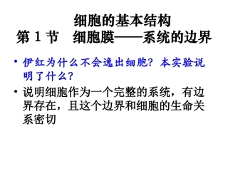 细胞的基本结构