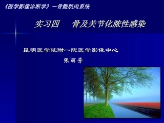 实习4  (1) 骨及关节化脓性感染