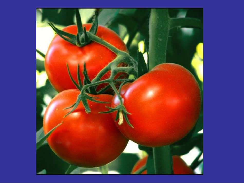 化学实验基本方法2(萃取)_第3页