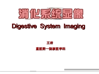 消化系统显像