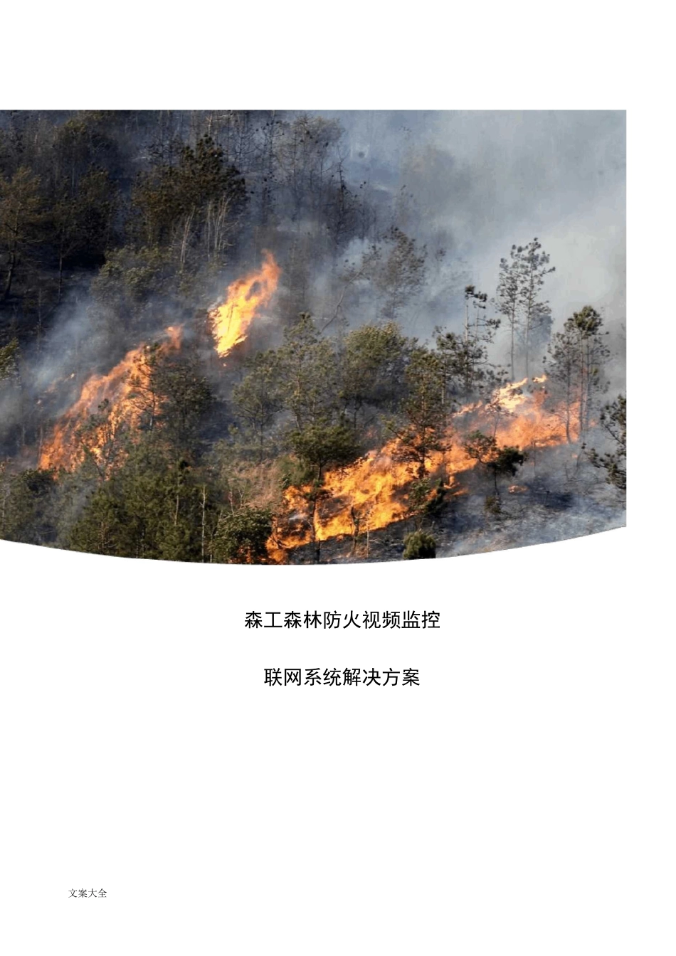 森林防火视频监控联网系统解决方案设计_第1页