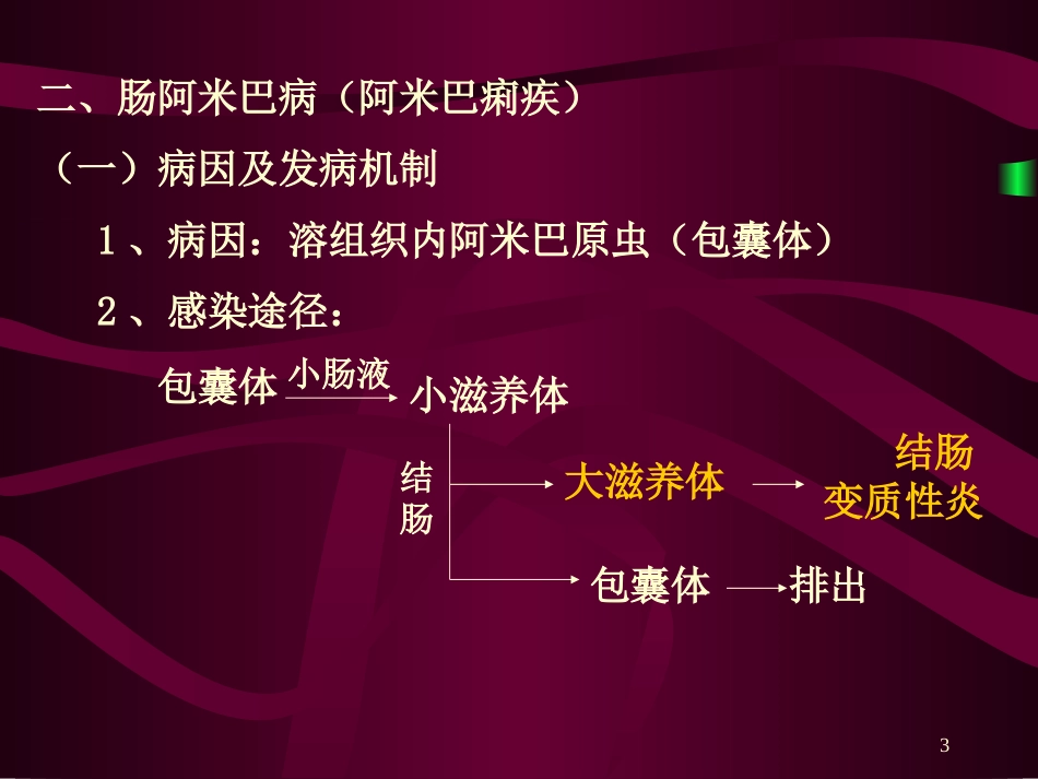 寄  生  虫  病_第3页