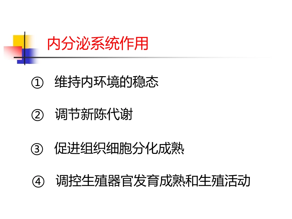 内分泌PPT_第3页