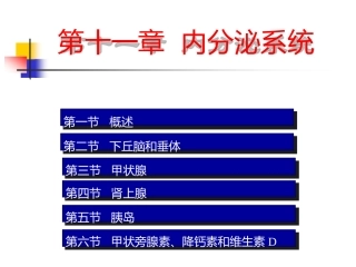 内分泌PPT