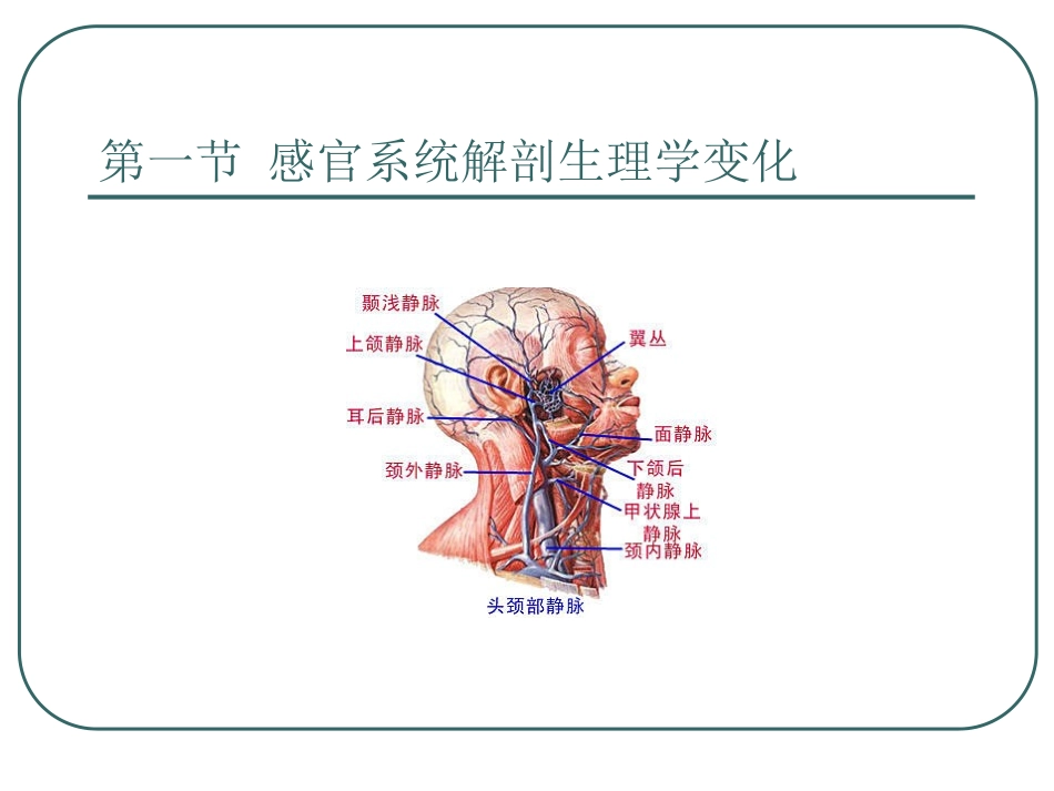 第二章 老年解剖生理学特征_第3页