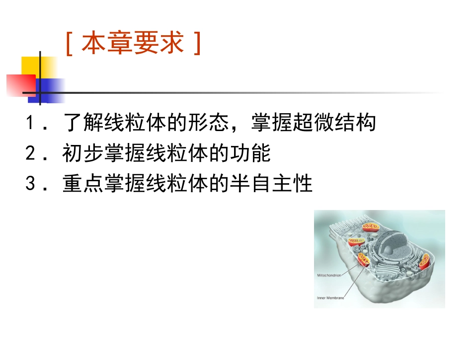 第六章_线粒体_第2页