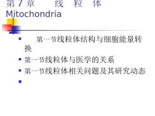 第六章_线粒体