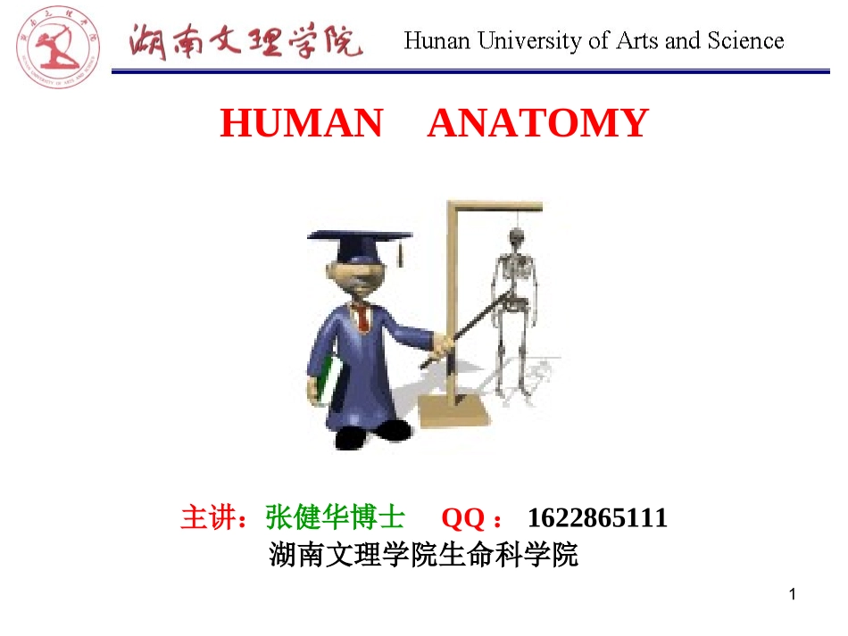 Chapter 7 呼吸系统_第1页