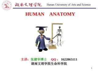 Chapter 7 呼吸系统