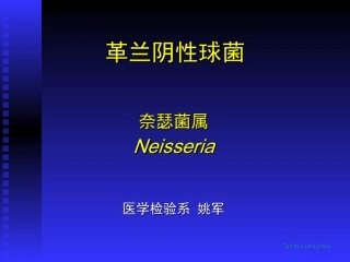 革兰氏阴性球菌