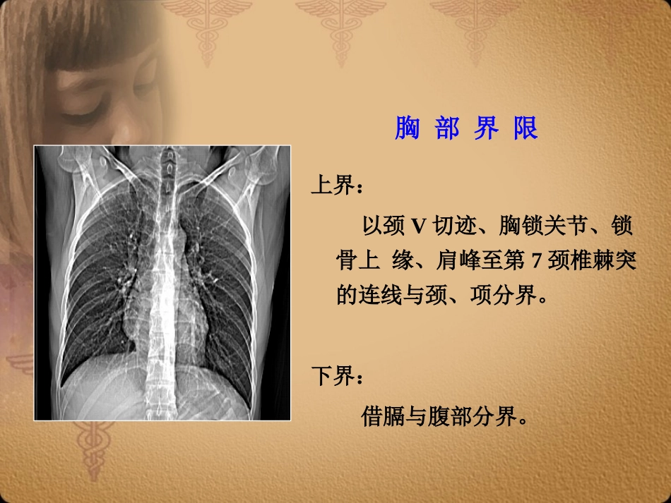 胸部正常CT-MRI_第3页
