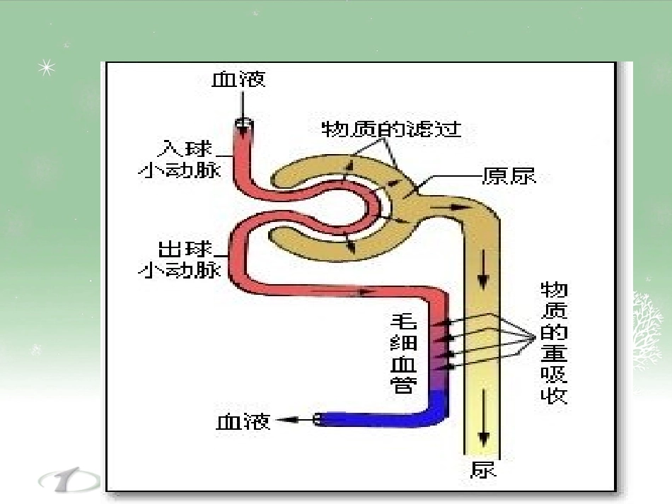 排泄物体液分泌物检查_第3页