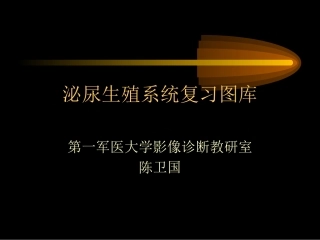 泌尿生殖图库1