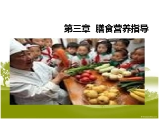 合理营养与膳食模板
