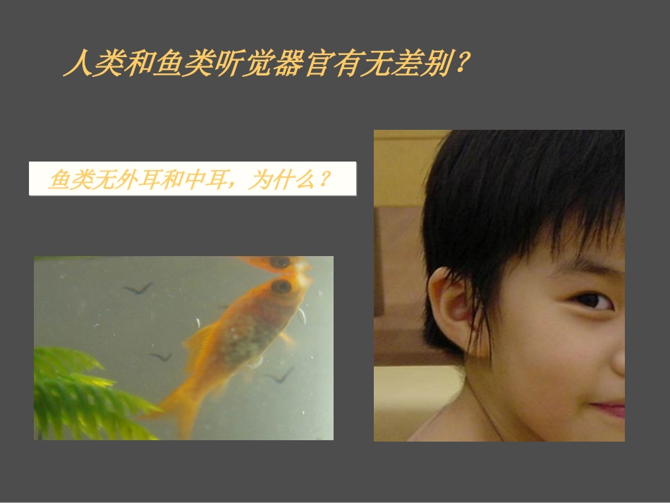 传导性耳聋的CT病因分析_第2页