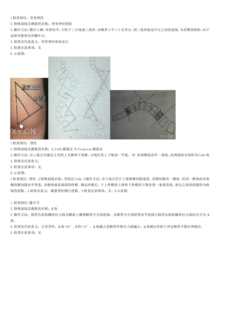 骨科X线划线意义_第2页