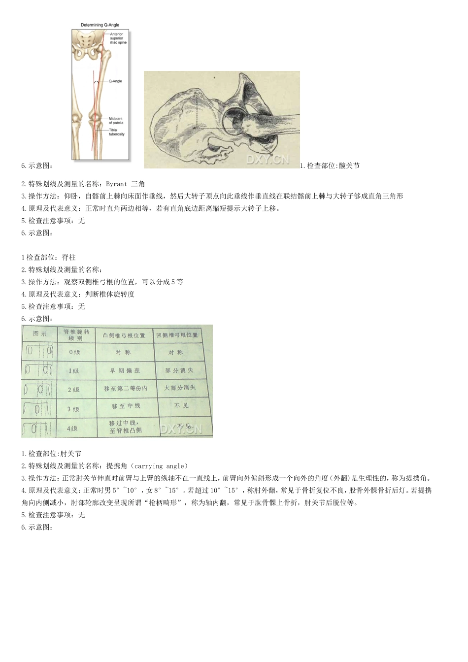 骨科X线划线意义_第3页