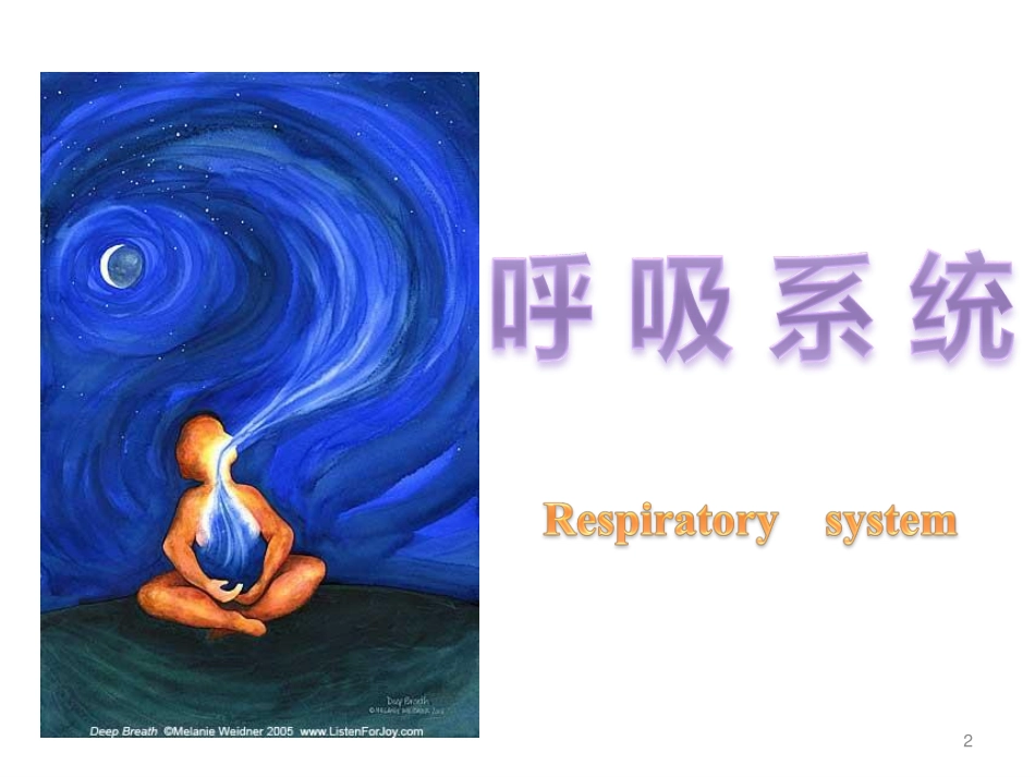 呼吸系统和皮肤 (1)_第2页