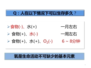 呼吸系统和皮肤 (1)