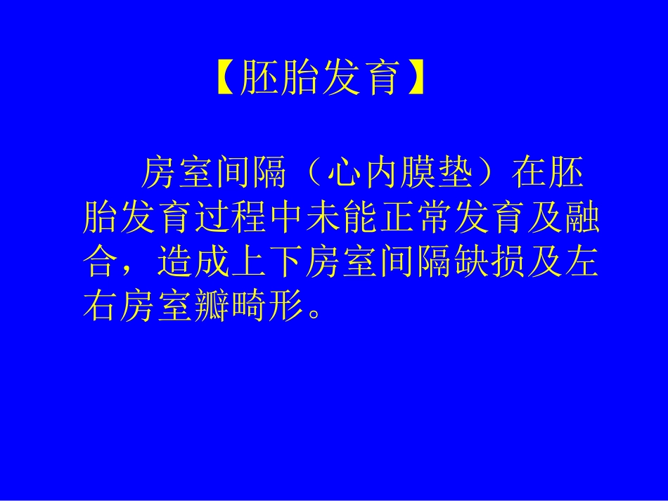 房室间隔缺损 心内膜垫耿斌2010安贞_第3页