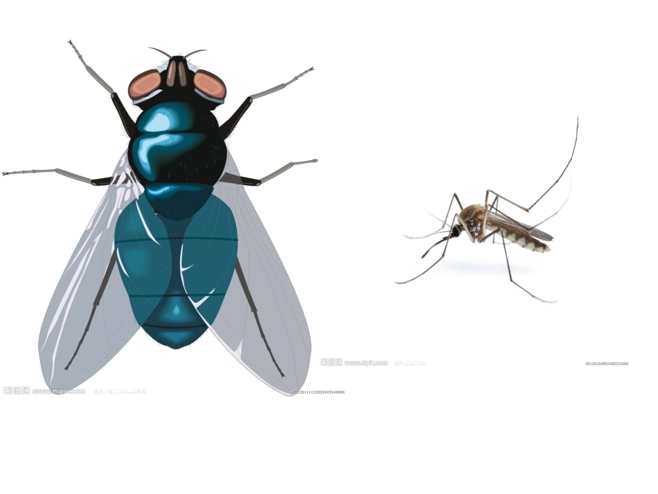 中班健康-夏季的卫生_第2页