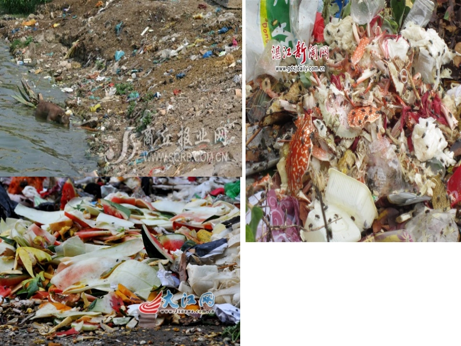 中班健康-夏季的卫生_第3页