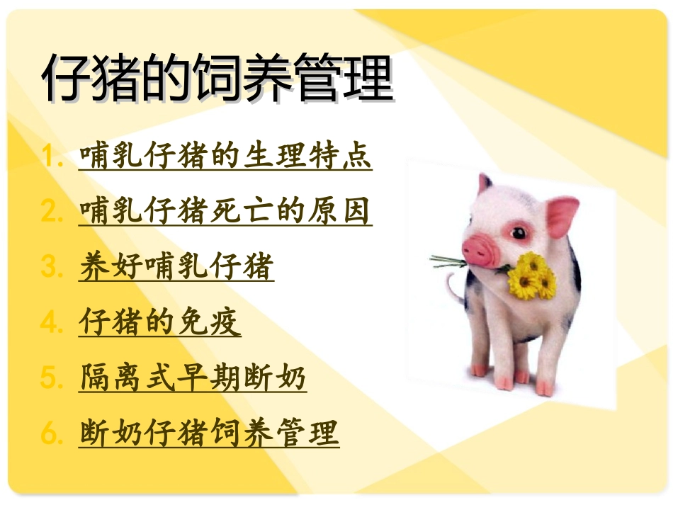 养猪与猪病防治_第2页