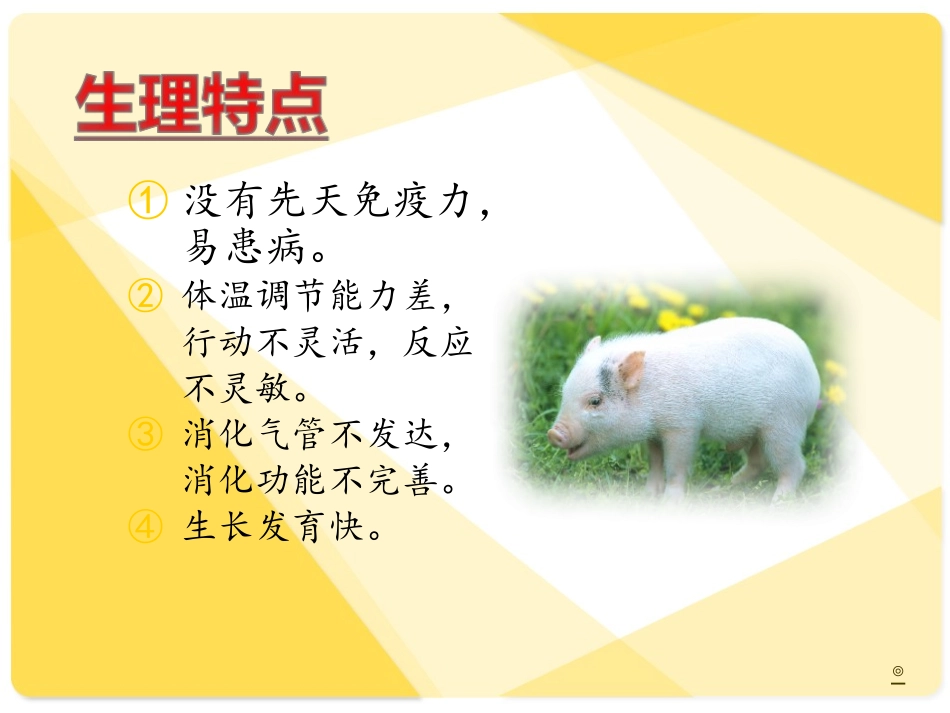 养猪与猪病防治_第3页