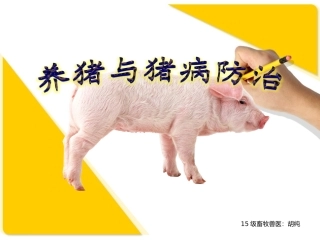 养猪与猪病防治