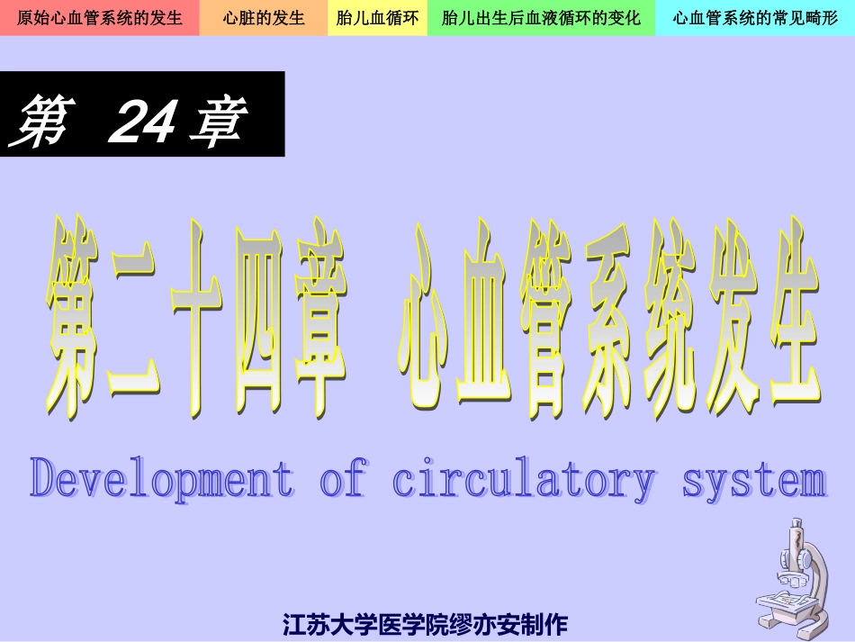 心血管系统的发生_第1页