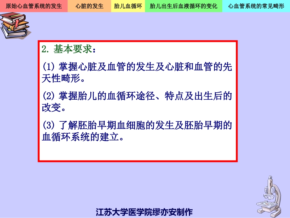 心血管系统的发生_第3页