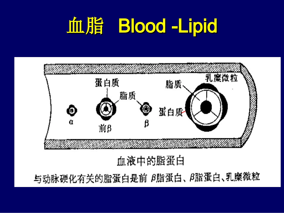 第六章§3降血脂药zhiyao09_第3页